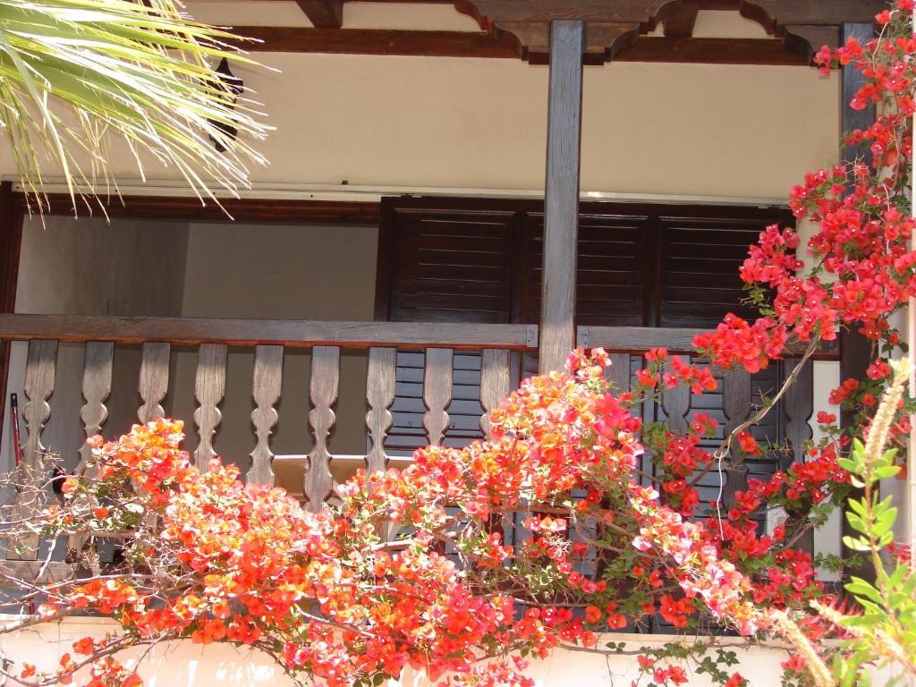 Villa Frideriki Agia Paraskevi (Skiathos) Quarto foto