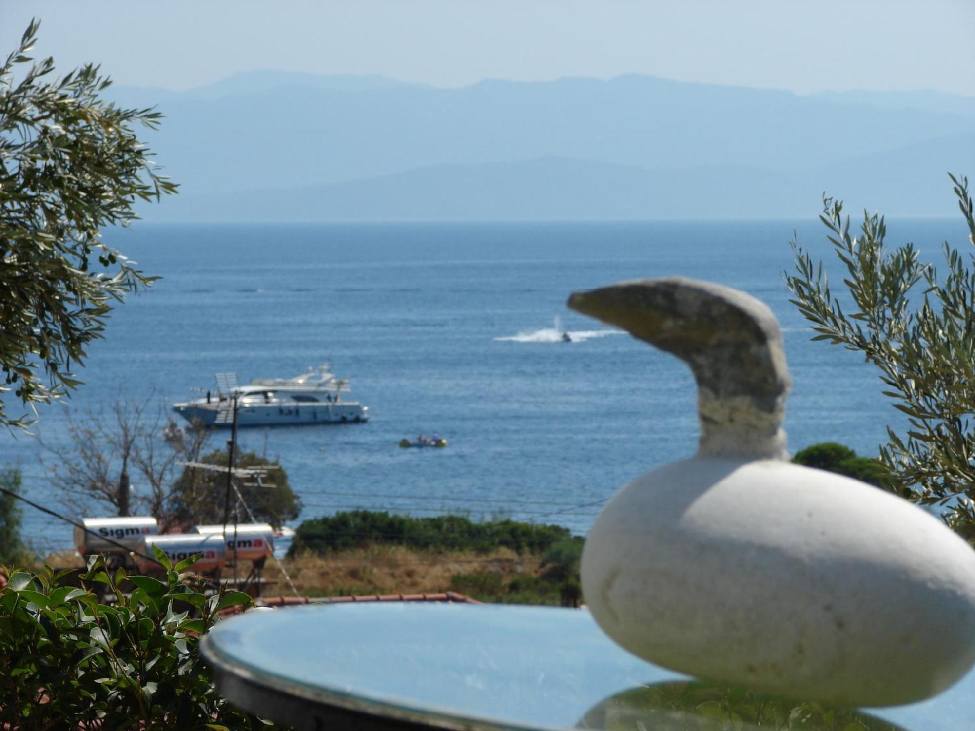Villa Frideriki Agia Paraskevi (Skiathos) Exterior foto