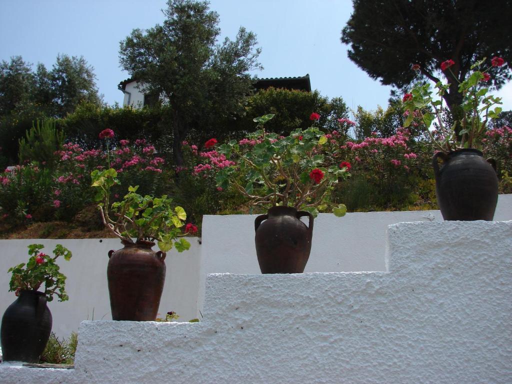 Villa Frideriki Agia Paraskevi (Skiathos) Exterior foto